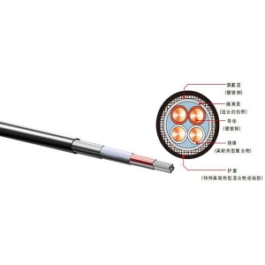機(jī)車(chē)電纜